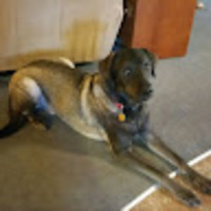 Meet your Posher, Karen